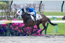 【京都6R】1番人気ゼロヴィジビリティが連勝で2勝目