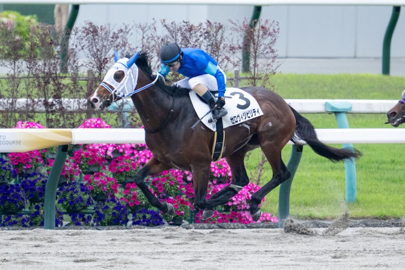 【京都6R】1番人気ゼロヴィジビリティが連勝で2勝目