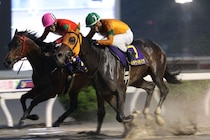 【高知・黒潮皐月賞】カツテナイオイシサが気迫の追い込みでハナ差V、激戦を制す
