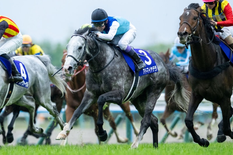 【天皇賞・春】武豊「決め手の差」レース後ジョッキーコメント