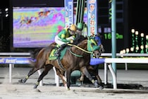 【かしわ記念】ウィルソンテソーロが激戦制す…1番人気ミッキーファイトとの一騎打ちを制圧