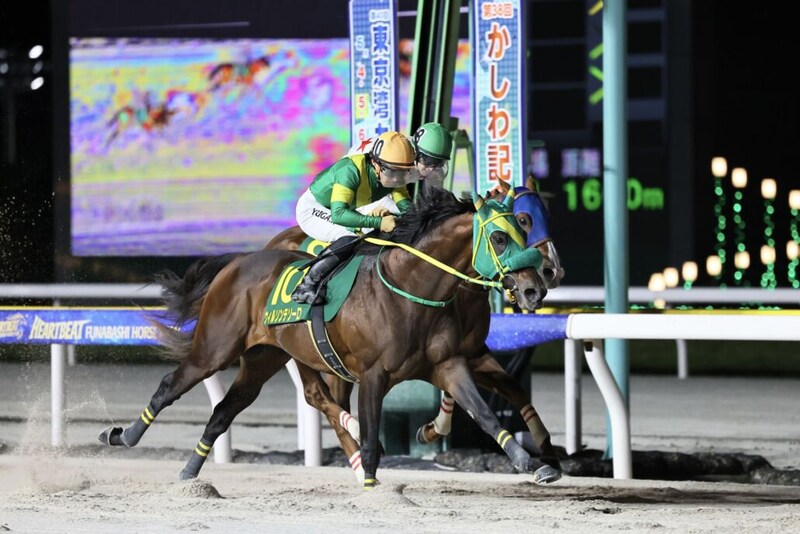 【かしわ記念】ウィルソンテソーロが激戦制す…1番人気ミッキーファイトとの一騎打ちを制圧
