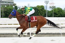 【兵庫CS】戸崎「明日から平日に戻りますが、切り替えて頑張っていきましょう！」サトノボヤージュが断然の支持に応える