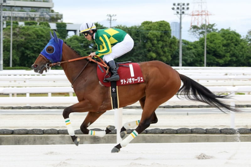 【兵庫CS】戸崎「明日から平日に戻りますが、切り替えて頑張っていきましょう！」サトノボヤージュが断然の支持に応える