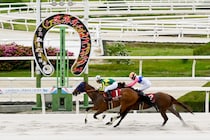 【兵庫CS】帰国初戦サトノボヤージュが重賞初制覇…サウジダービー組でワンツー