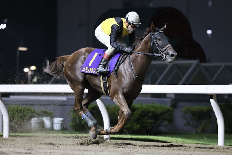 【エンプレス杯】メモリアカフェなどJRA馬は5頭