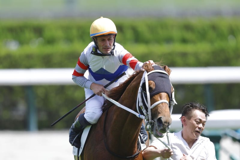 【京都7R】M.デムーロ騎手が日本帰国後初勝利…テンエースワンで鮮やか抜け出し