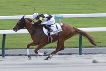 【京都6R】激しい先行争い制したアスクケンタッキーが逃げ切りV…7番人気の伏兵
