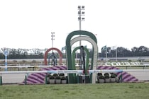 【京都8R】伏兵ローマンレイクが波乱演出…3連単163万円超の波乱
