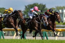 【メトロポリタンS】ウエストナウが接戦制しオープン2勝目…ゴール前では勝負根性光る
