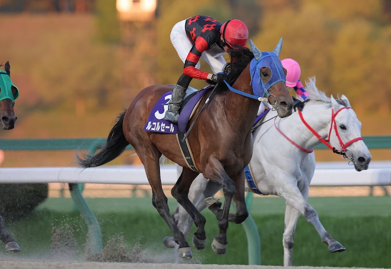【盛岡・シアンモア記念】ルコルセールが重賞連勝…ヒロシクンは2着