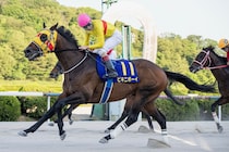 【佐賀スプリングカップ】ビキニボーイが連覇！山口勲「思い切っていった」