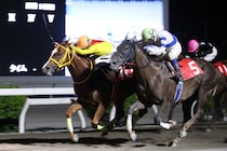 【高知・春野特別】ミスズグランドオーが接戦制す…グッドウッドガイの追撃振り切る