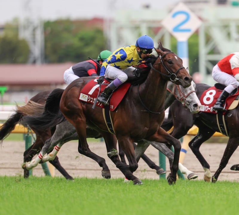 【新潟大賞典登録馬】良血シュガークンなど17頭