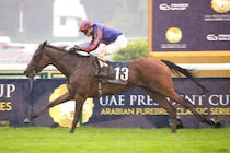 【仏1000ギニー】ダイヤモンドネックレスが無傷の4連勝…A.オブライエン師も絶賛「父によく似ている」