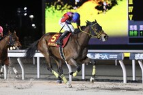 【エンプレス杯】連覇かかるテンカジョウ6枠6番