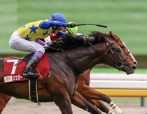 【武豊日記】展示会でのお話と今後のレースについて