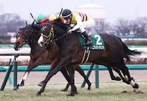 京成杯Vのニシノエージェントが門別へ移籍