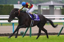 クロワデュノールが首位発進…宝塚記念ファン投票 第1回中間発表