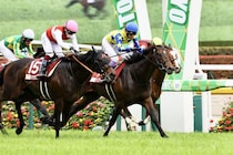 約2年ぶり実戦シュガークンに注目…武豊騎手騎乗馬