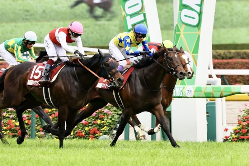 約2年ぶり実戦シュガークンに注目…武豊騎手騎乗馬