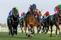 【新潟大賞典】伏兵グランディアが波乱を演出…武豊シュガークンは最下位