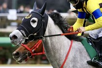 【鞍馬S】フェアリーS覇者、イフェイオンが予後不良