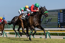 【石打特別】断然人気ルールーリマが差し切り快勝…ルメール騎手の手綱で2勝目