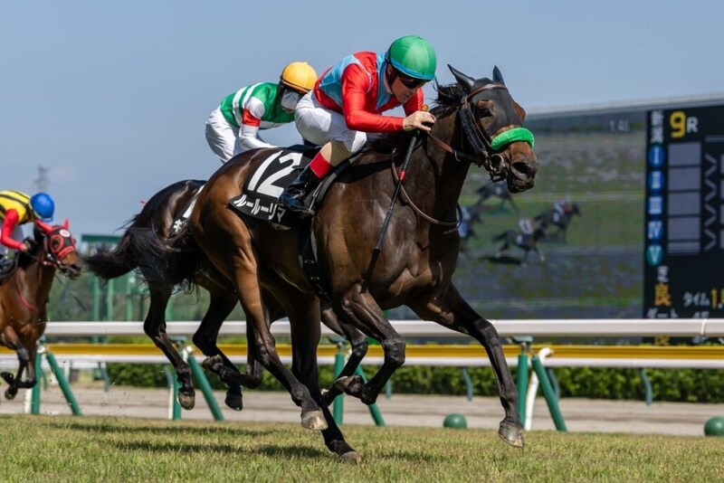 【石打特別】断然人気ルールーリマが差し切り快勝…ルメール騎手の手綱で2勝目