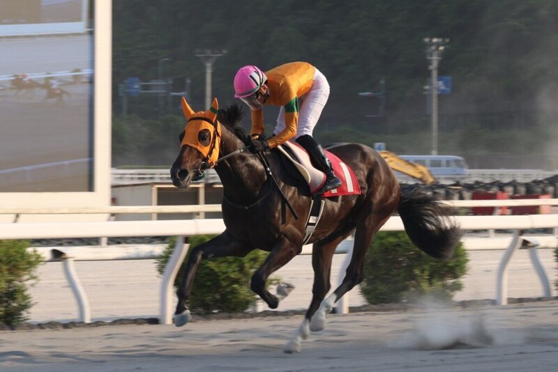 【高知・山桃特別】カツテナイオイシサが5馬身差圧勝