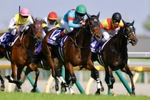 【ヴィクトリアマイル】ルメール＆エンブロイダリーが鮮やか差し切りV…G1・3勝目をマーク
