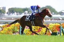 【テレ玉杯】ゴンサルベス騎乗、エルマーゴが鮮やか差し切りV