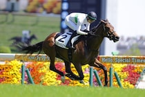 【東京7R】トミーバローズが6馬身差圧勝…坂井瑠星騎手と能力全開