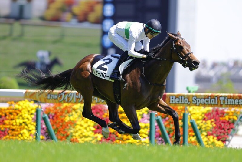 【東京7R】トミーバローズが6馬身差圧勝…坂井瑠星騎手と能力全開