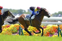 【東京4R】クカイリモクが断然人気に応える…レーンの手綱で初勝利