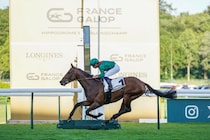 【アガ・カーン4世賞】凱旋門賞馬ダリズが圧巻V…凱旋門賞連覇へ視界良好