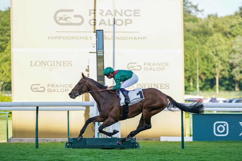 【アガ・カーン4世賞】凱旋門賞馬ダリズが圧巻V…凱旋門賞連覇へ視界良好