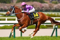 今村聖奈がオークス騎乗へ…女性ジョッキー騎乗馬