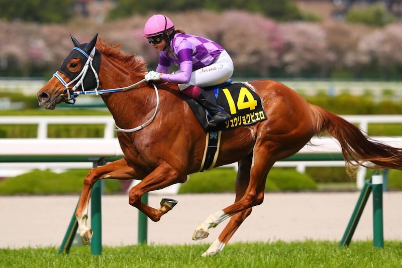 今村聖奈がオークス騎乗へ…女性ジョッキー騎乗馬