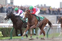 ペイシャエス引退…美浦トレセンで乗馬へ