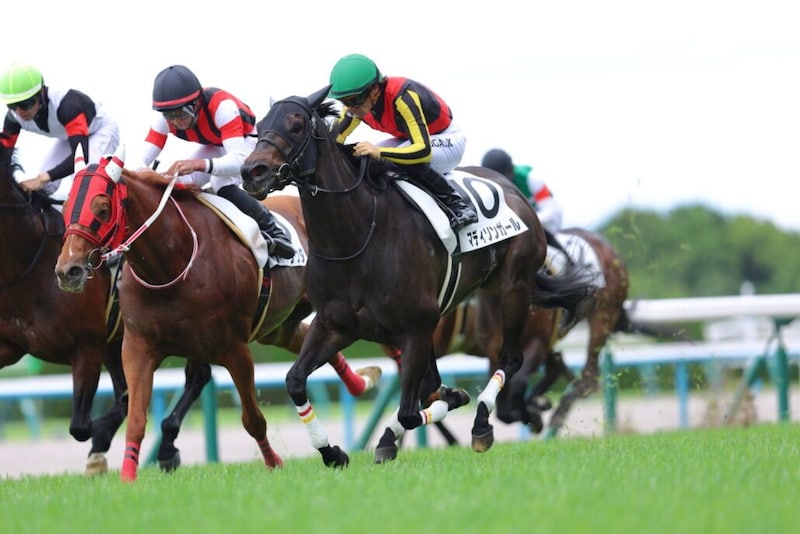 【京都8R】三冠牝馬リバティアイランド半妹マディソンガールがV…断然人気に応える