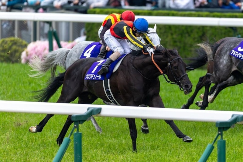 クロワデュノールvsメイショウタバル、宝塚記念ファン投票トップ争い激化