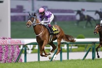 【オークス】今村聖奈ジュウリョクピエロは8枠16番