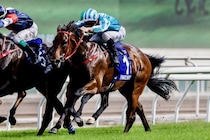【香港】強すぎるロマンチックウォリアーがG1・15勝目、香港古馬三冠達成…日本勢は敗れる