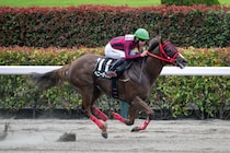 【三峰山特別】ヘニーガイストが1年4ヶ月ぶり復活V…ブランク感じさせぬ5馬身差圧勝