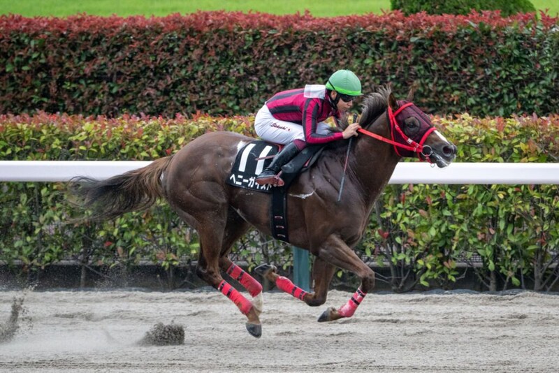 【三峰山特別】ヘニーガイストが1年4ヶ月ぶり復活V…ブランク感じさせぬ5馬身差圧勝