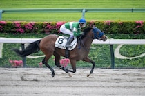 【東京3R】武豊アイムインディが快勝…3馬身半差の完勝劇
