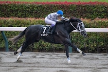 【東京12R】武豊ギュルヴィが完勝でオープン入り…早め先頭からねじ伏せる
