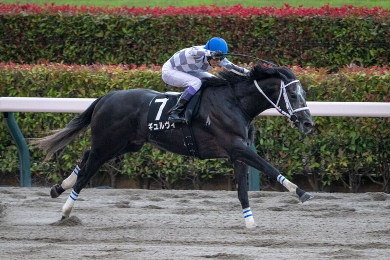 【東京12R】武豊ギュルヴィが完勝でオープン入り…早め先頭からねじ伏せる