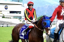 【香港競馬】ローシャムパークは6着敗退…ボウマン「追ってから案外…」